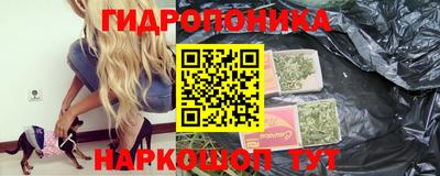 каннабис Ачхой-Мартан