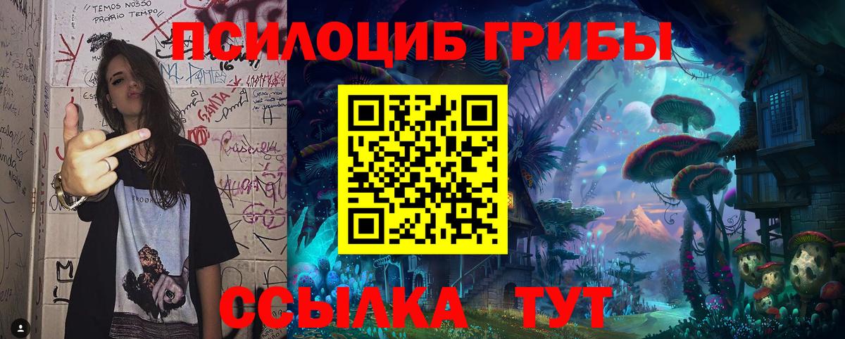 Галлюциногенные грибы Psilocybine cubensis  цена   Керчь  Вход с VPN 